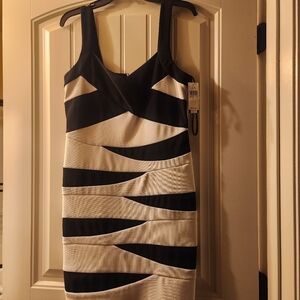 White House Black Market Striped Black and White Mini Dress